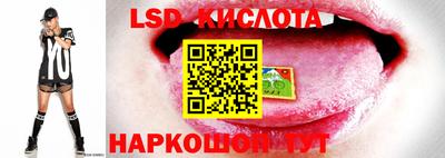прущая мука Кимры