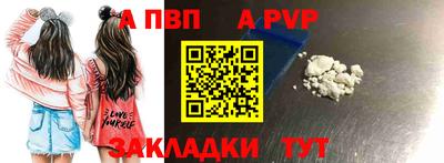 прущие крисы Кингисепп