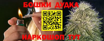 прущие крисы Кингисепп