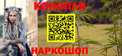 прущие крисы Кингисепп